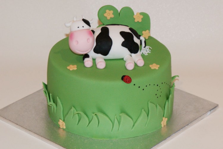 Cow Birthday Cakes Design Picture in Birthday Cake