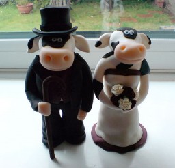 1024x768px Cow Wedding Cake Toppers Picture in Wedding Cake