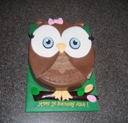 1024x768px First Birthday Owl Cake Picture in Birthday Cake