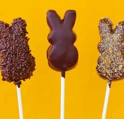 1024x689px Dark Chocolate Peeps Pops Picture in Chocolate Cake