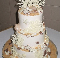 1024x1595px Seashell Wedding Cakes Ideas Picture in Wedding Cake