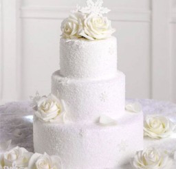 1024x1024px Winter Wedding Cakes Picture in Wedding Cake