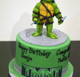 685x1024px How To Make A Ninja Turtle Cake Picture in Cake Decor