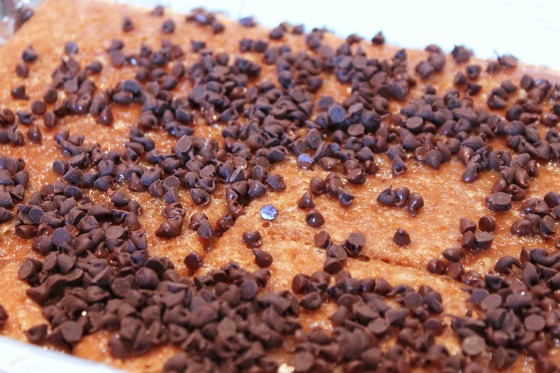 Chocolate Melting Chips Picture in Chocolate Cake